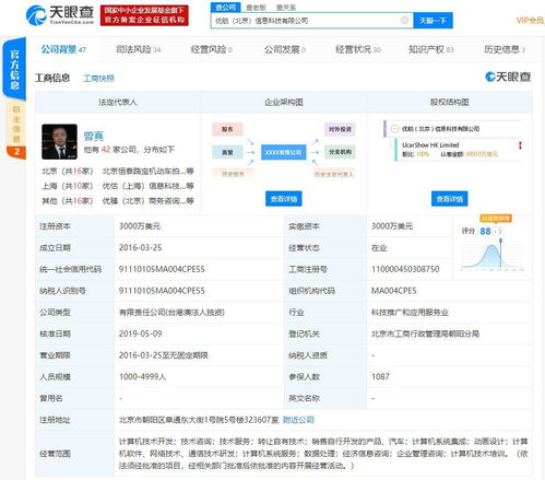 优信CFO及曾真被限制消费 信息系统集成服务的暗礁与反思